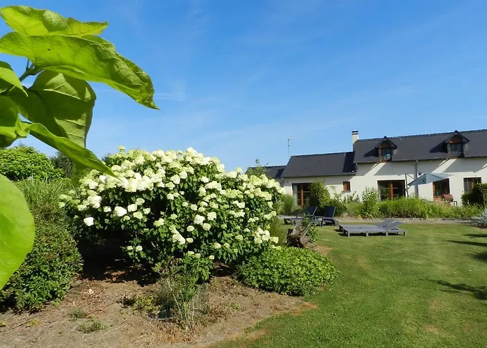 Gîte La Grenouillère